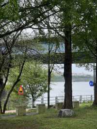 汝矣島漢江公園（여의도 한강공원）｜首爾