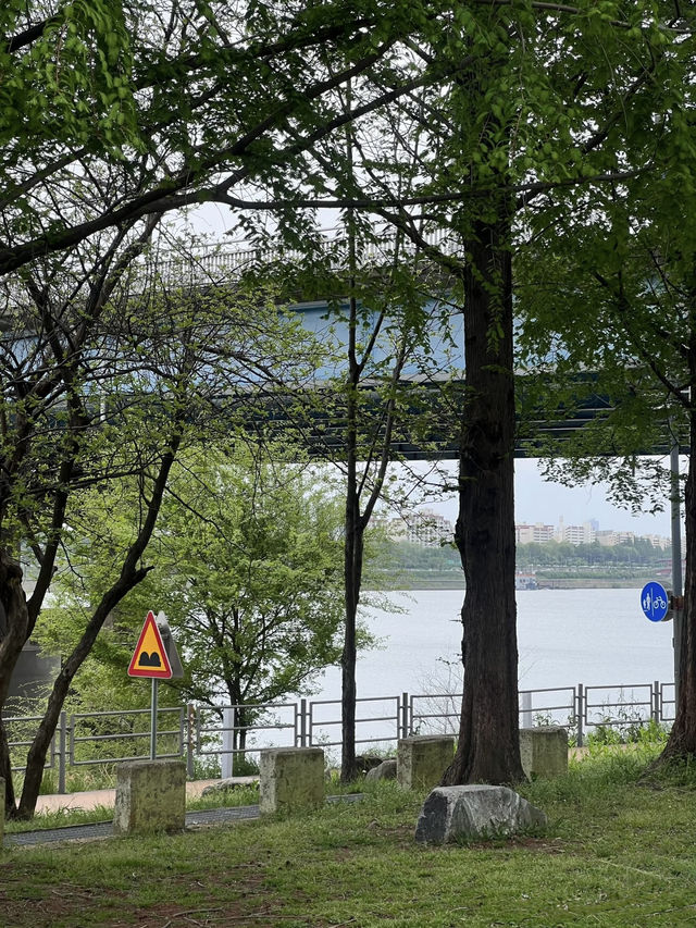 汝矣島漢江公園（여의도 한강공원）｜首爾