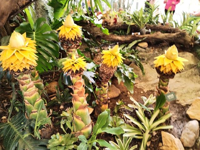 Yuntai Garden 