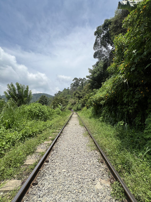Should you visit Ella? Sri Lanka 