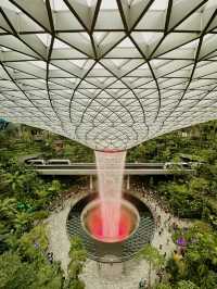 A Sky-High Adventure: Canopy Park at Jewel Changi 