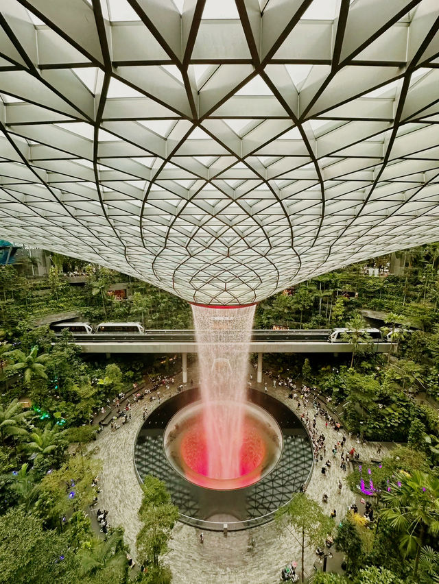 A Sky-High Adventure: Canopy Park at Jewel Changi 
