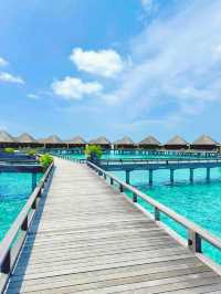 Maldives Vibes: Feel It, Live It, Love It