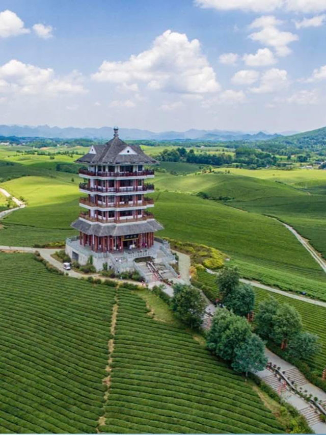 Hongshi Forest, Guizhou