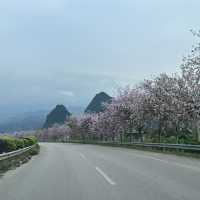 陽朔3日行程推介