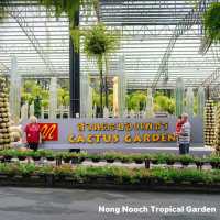Nong Notch Tropical Park