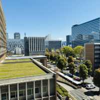 I Couldn’t Believe This Was in Tokyo… Until I Took a Spring Stroll Through Nakano Central Park!