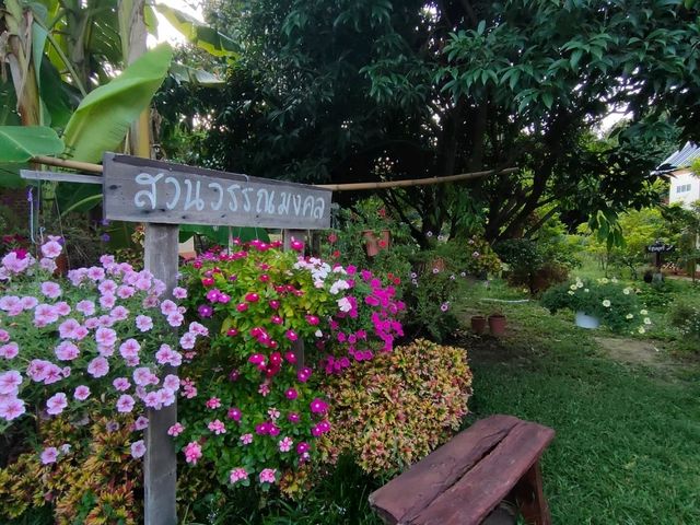คาเฟ่ในสวน Napa Cafe and Craft 