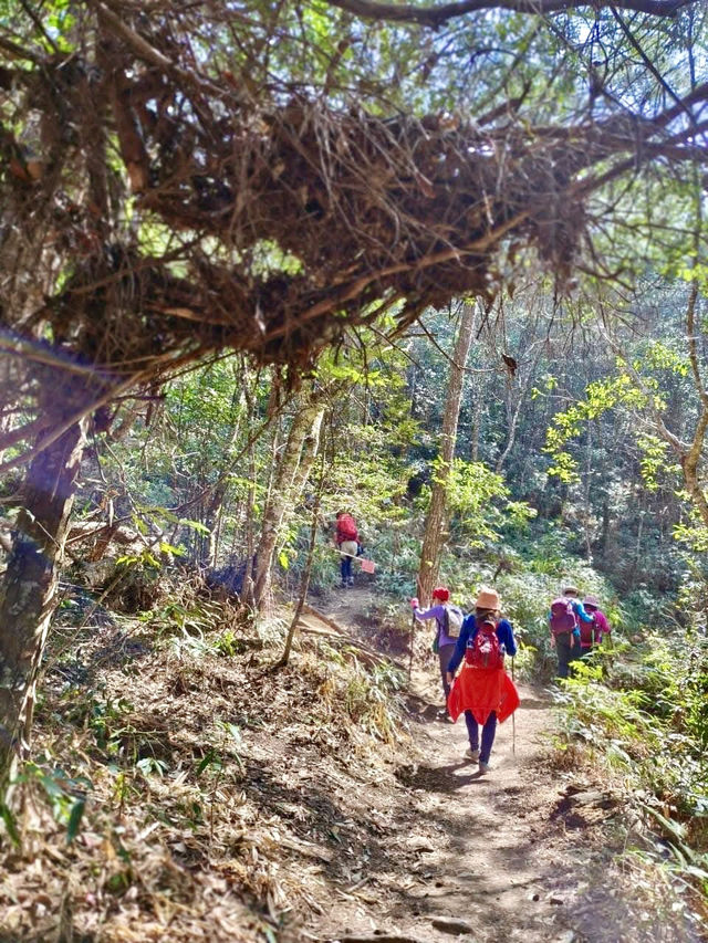 谷關七雄～東卯山