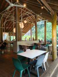 Creamy Comfort in the Forest – Spaghetti Carbonara at Pineyard