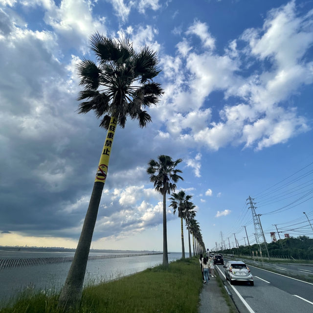 【木更津🇯🇵】まるでハワイ🌺🌴日本でアロハな気分に