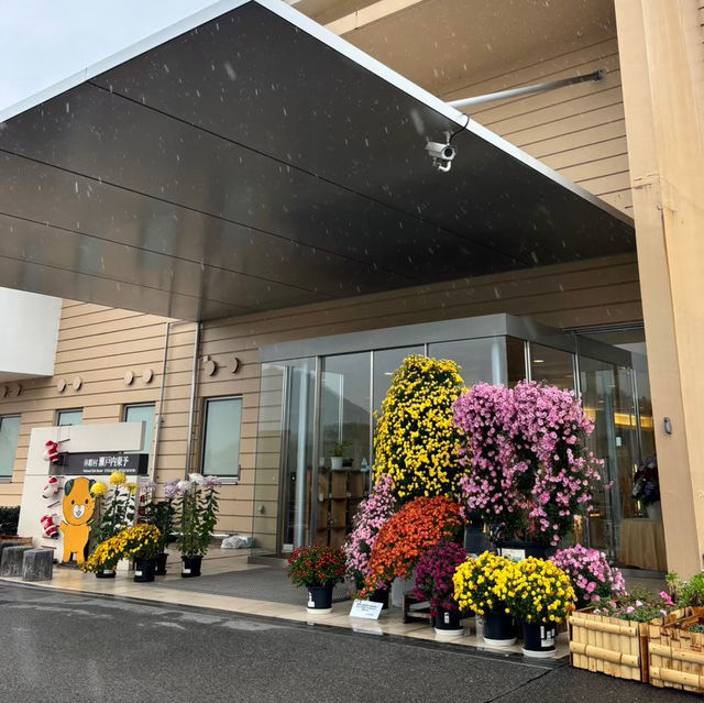 🇯🇵【愛媛県】海！！絶景が自慢の温泉宿！♨️(^^)