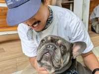 タイで癒されたいなら「Dog In Town Ari」へ！