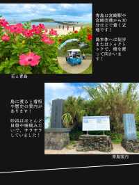 【神社ジャングル海まるごとパワースポットの島】青島