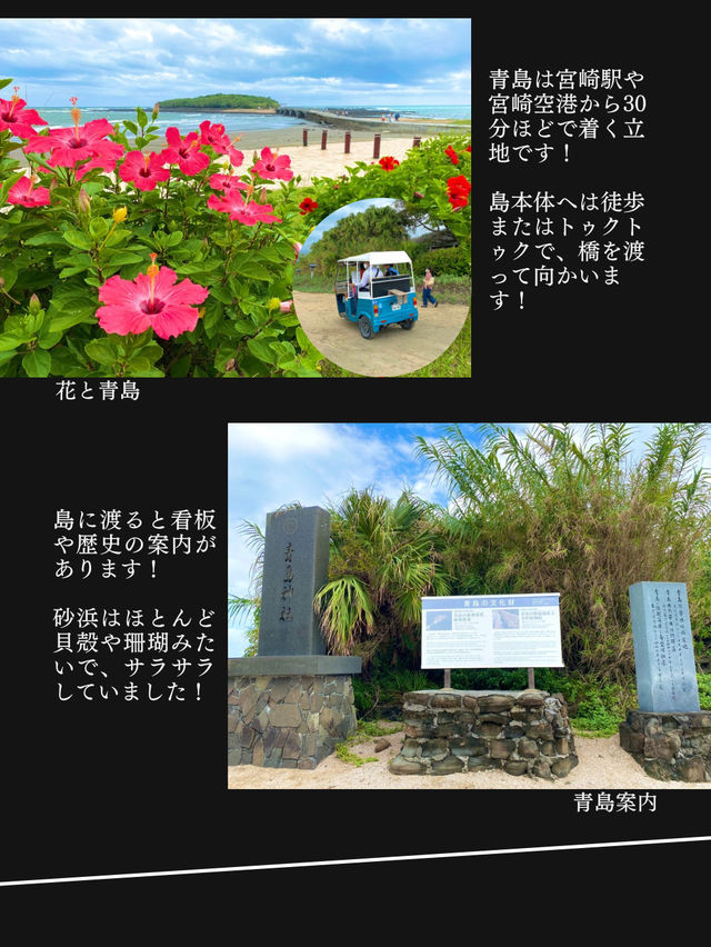 【神社ジャングル海まるごとパワースポットの島】青島