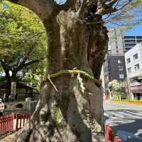 赤手拭稻荷神社｜寧靜禪境  