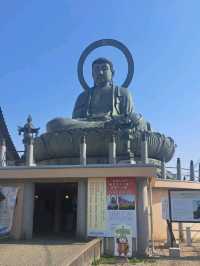 【高岡大仏:富山県高岡市】