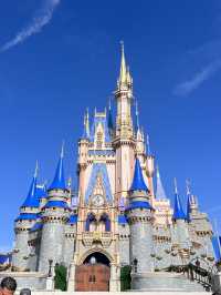 【アメリカ】フロリダディズニーの見どころ🐭🇺🇸