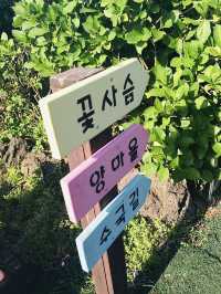 제주도 가볼만한 곳 추천 <제주레일바이크> 💛
