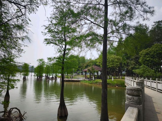 松山湖