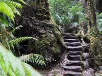 My Serene Weekend Getaway in the Blue Mountains 