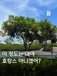 호캉스를 좋아하신다면 여기는 무조건..💚