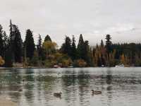 Admire the beauty of the majestic Lake Wakatipu New Zealand
