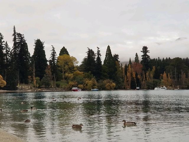 Admire the beauty of the majestic Lake Wakatipu New Zealand