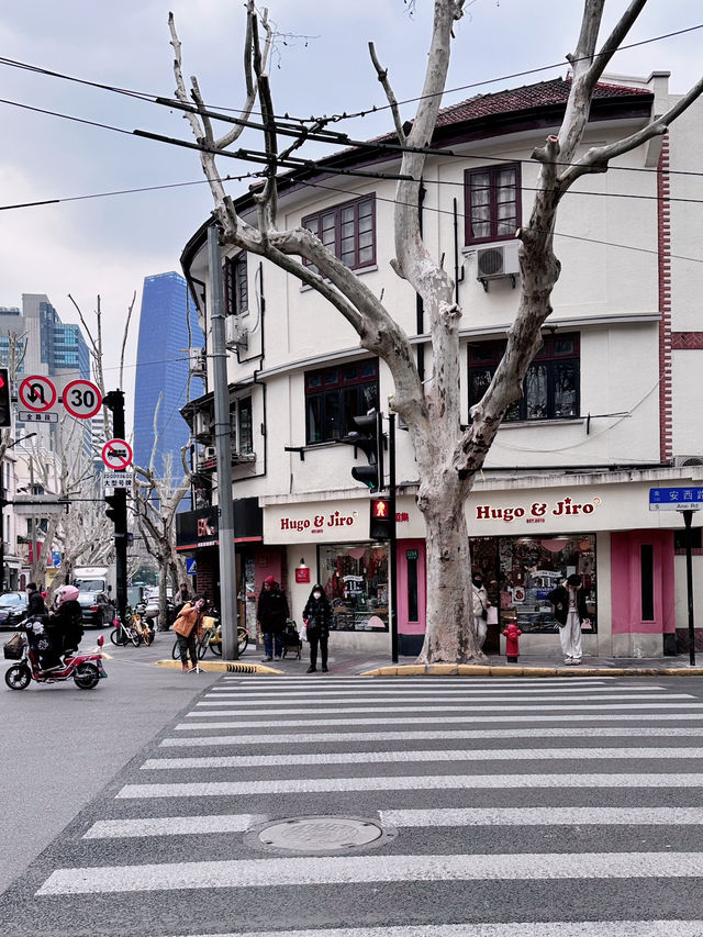 🌷🌸Spring Cycling Diary in Shanghai 🌸🚴‍♀️✨