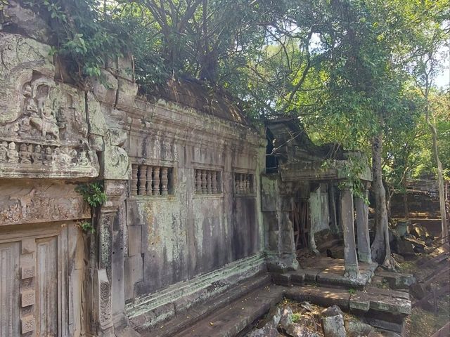 ラピュタの世界が現実に！ベンメリアで体感する神秘の遺跡旅