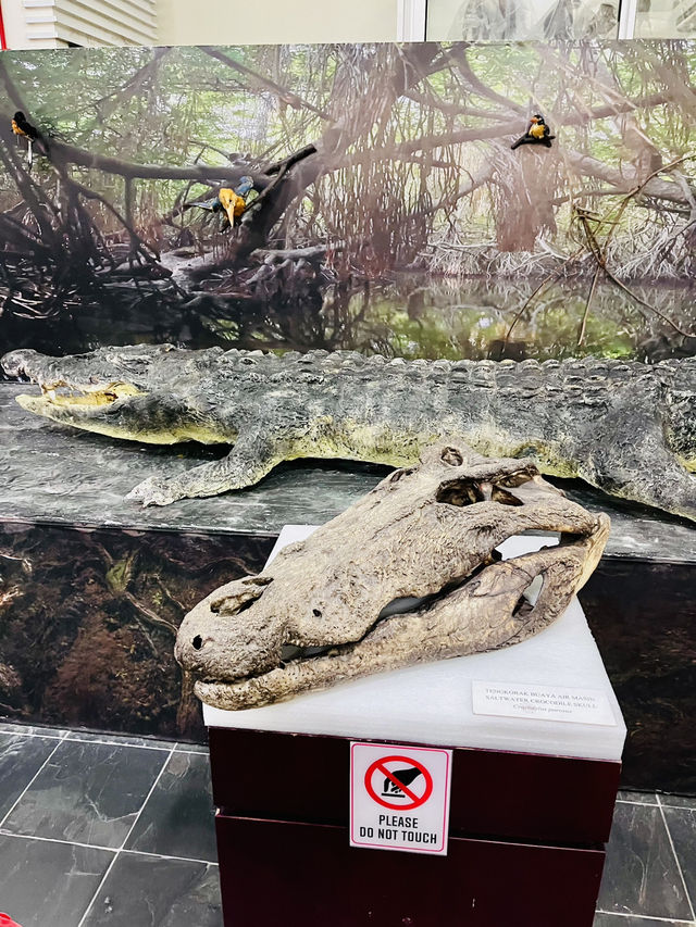 Explore Borneo’s Wild Wonders at the Natural History Museum