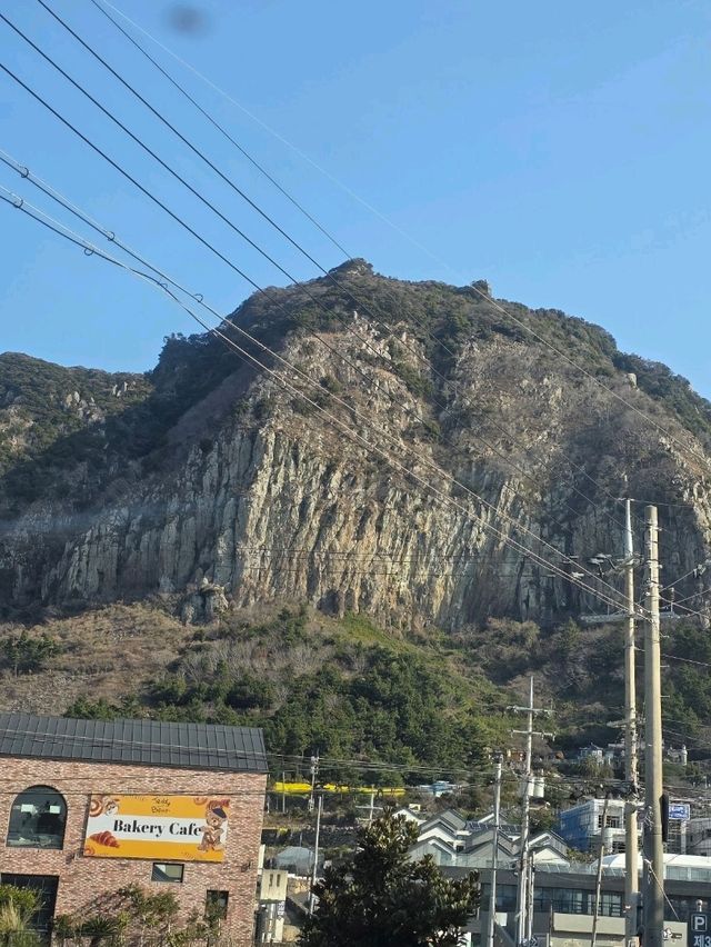 노란 봄빛 속 여유를 즐기는 감성 카페예요🌼