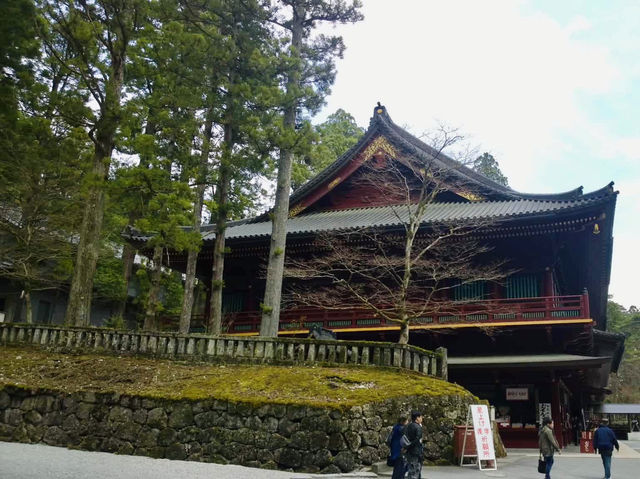 Enchanted Moments at Nikko Toshogu Shrine