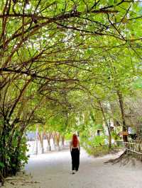 Lan Hạ