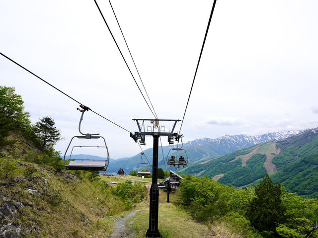 🏔️ Hakuba Iwatake Mountain Resort 