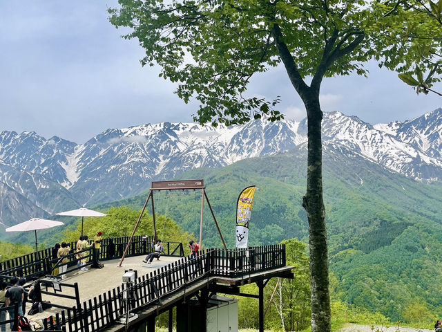 🏔️ Hakuba Iwatake Mountain Resort 