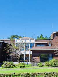 A Breath of Fresh Air and Panoramic Views at Seogwipo Natural Recreational Forest
