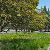 📌 전주 연화정 도서관 | 전통 한옥에서 만나는 힐링 공간