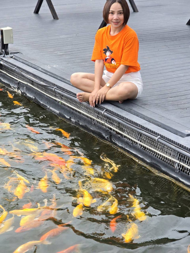 เขื่อนศรีนครินทร์