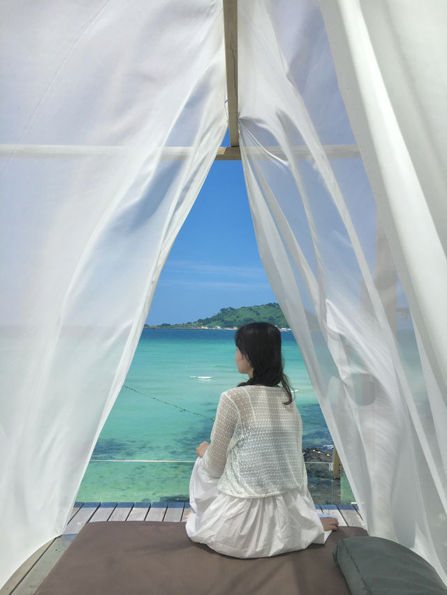 제주도 2박 3일 여행코스 추천🌿✈️