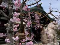Kasugataisha Shrine