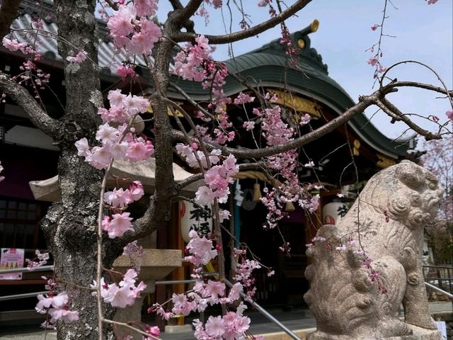 Kasugataisha Shrine