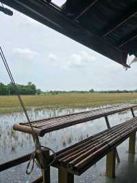 เต๋ว 2 อ ร้านลับ สามโคก ใครมาแล้วต้องอยากมาอีก