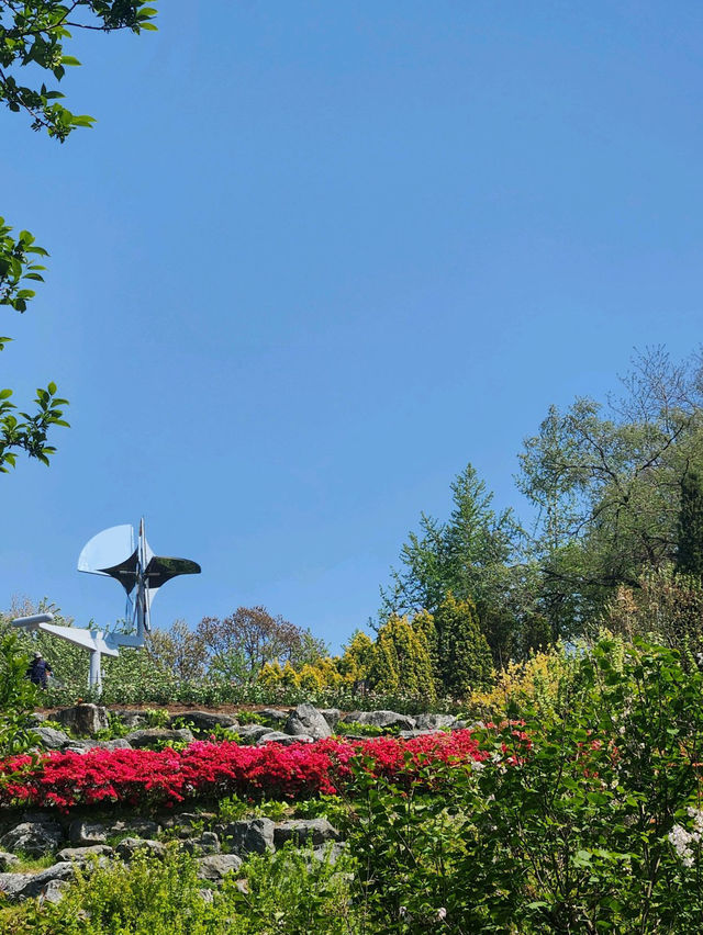 🌸가족 당일치기 여행으로 추천하는🌼피나클랜드 수목원🍃