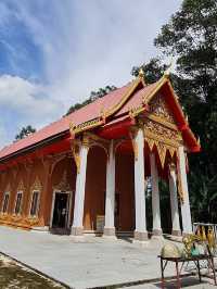 อุโมงค์ป่าไผ่ ธรรมชาติที่เงียบสงบและร่มรื่น