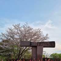 Chidorigafuchi Park: Tokyo’s Cherry Blossom Paradise