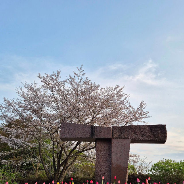 Chidorigafuchi Park: Tokyo’s Cherry Blossom Paradise