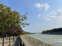 🌊 Weekend Escape to Dujiangyan: Ancient Wonders & Scenic Serenity!
