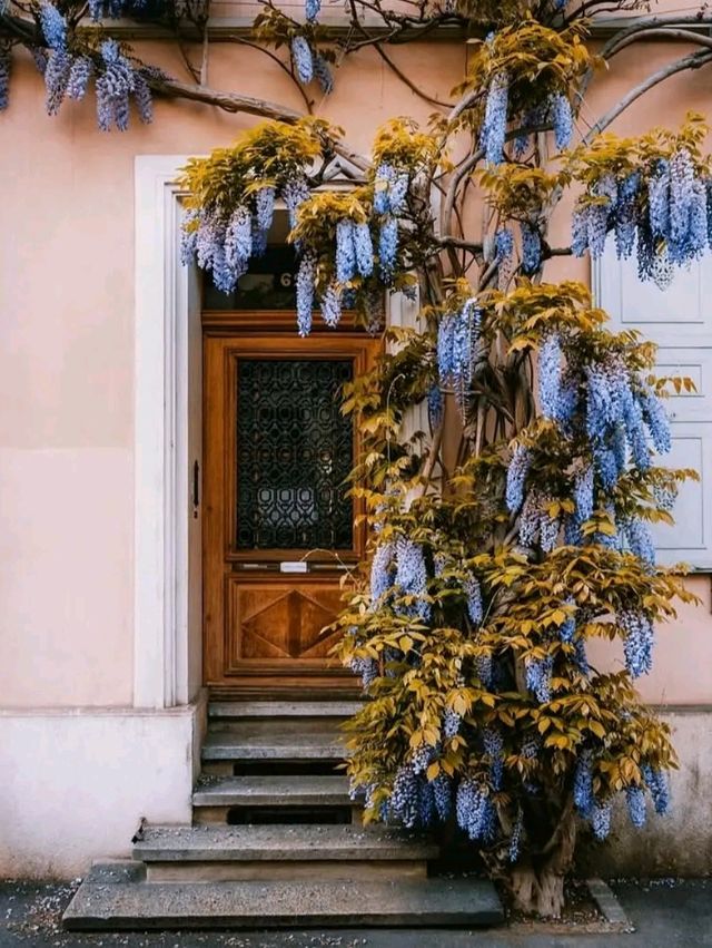 Basel – Switzerland’s Cultural Capital on the Rhine