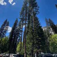 Yosemite National Park – CA